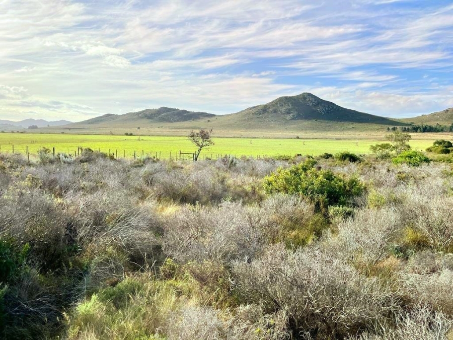 0 Bedroom Property for Sale in Humansdorp Rural Eastern Cape